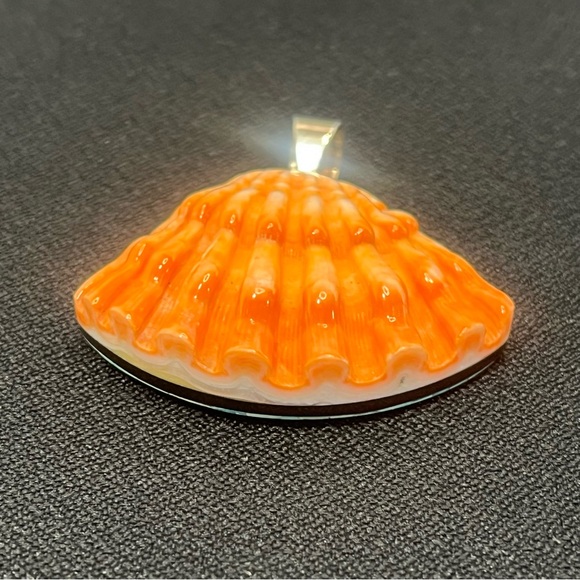 Jay King Lion’s Paw Shell & Turquoise Pendant - Picture 5 of 10